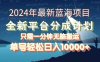 2024年最新蓝海项目，全新分成平台，可单号可矩阵，单号轻松月入10000+