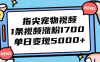 指尖宠物视频，1条视频涨粉1700，单日变现5000+