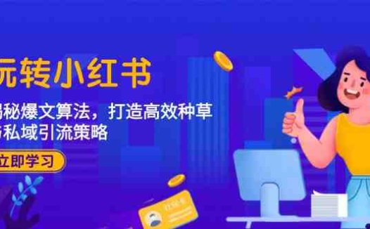 玩转小红书：揭秘爆文算法，打造高效种草与私域引流策略