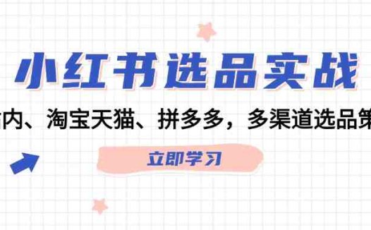 小红书选品实战：站内、淘宝天猫、拼多多，多渠道选品策略