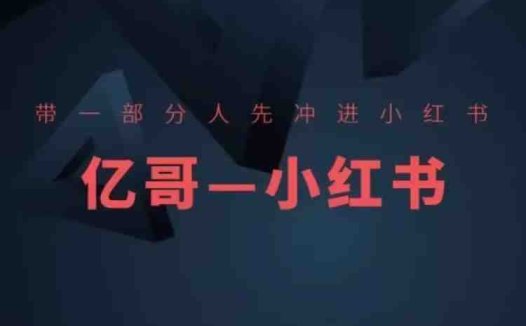 ​​带一部分人先冲进小红书，小红书开店、选品、爆款裂变