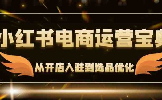 小红书电商运营宝典：从开店入驻到选品优化，一站式解决你的电商难题