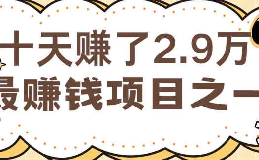 闲鱼小红书最赚钱项目之一，轻松月入6万+