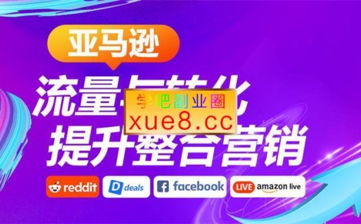 杨老师《亚马逊流量与转化提升整合营销》