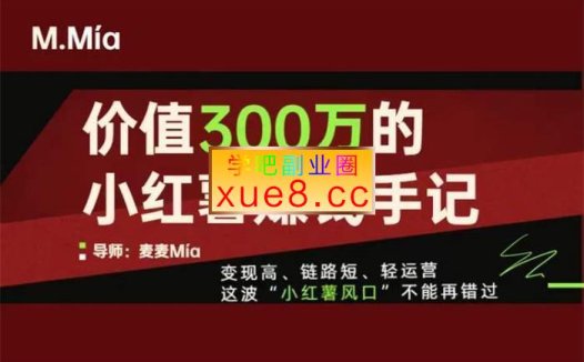 麦麦《价值300万的小红书赚钱手记》