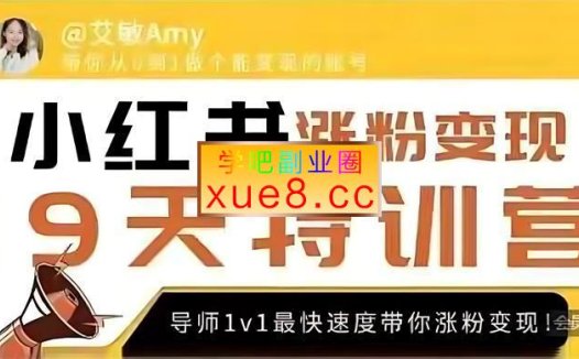 艾敏《19天小红书涨粉变现特训营》
