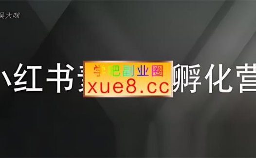 吴大咪《小红书素人IP孵化营》