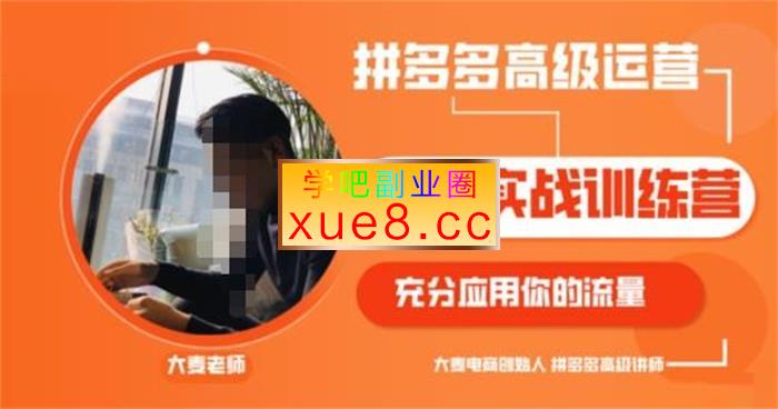 大麦《拼多多高级运营增长实战训练营》插图 大麦《拼多多高级运营增长实战训练营》