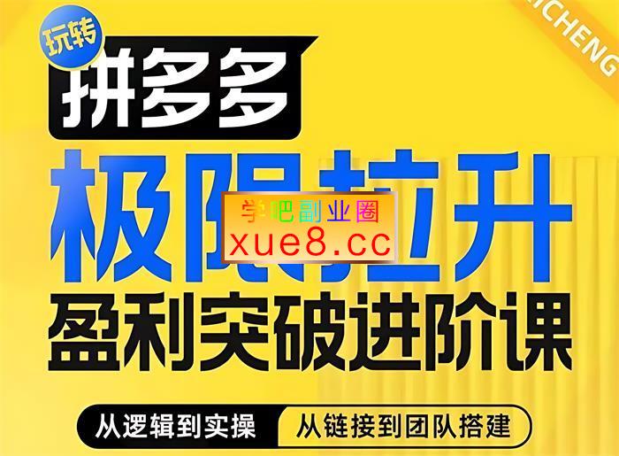 屿川《拼多多极限拉升盈利突破进阶课》插图 屿川《拼多多极限拉升盈利突破进阶课》