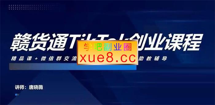 唐晓薇《零基础TikTok副业变现课程》