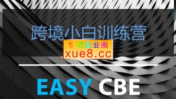 团长《跨境电商独立站入门课》插图 团长《跨境电商独立站入门课》
