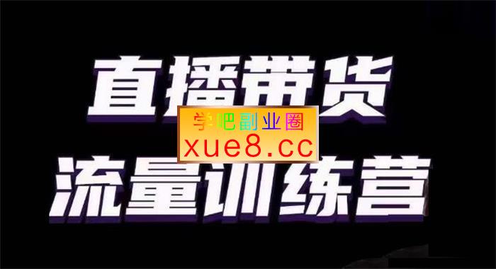 婉婉《直播带货流量训练营》插图 婉婉《直播带货流量训练营》