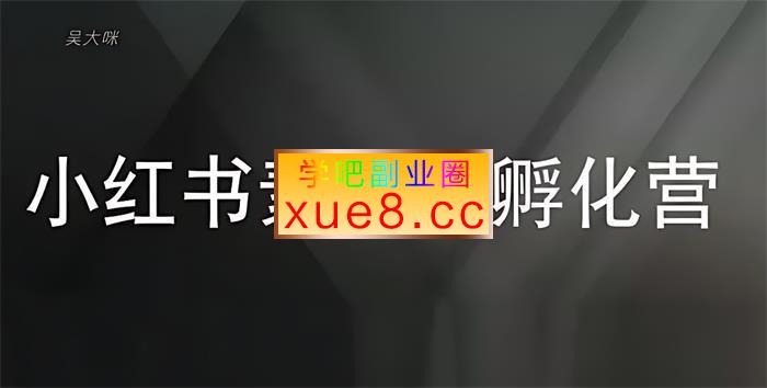 吴大咪《小红书素人IP孵化营》插图 吴大咪《小红书素人IP孵化营》